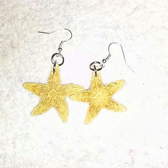 Jewelry - New Real Starfish Earrings⭐ Jewelry - New Real Starfish Earrings⭐